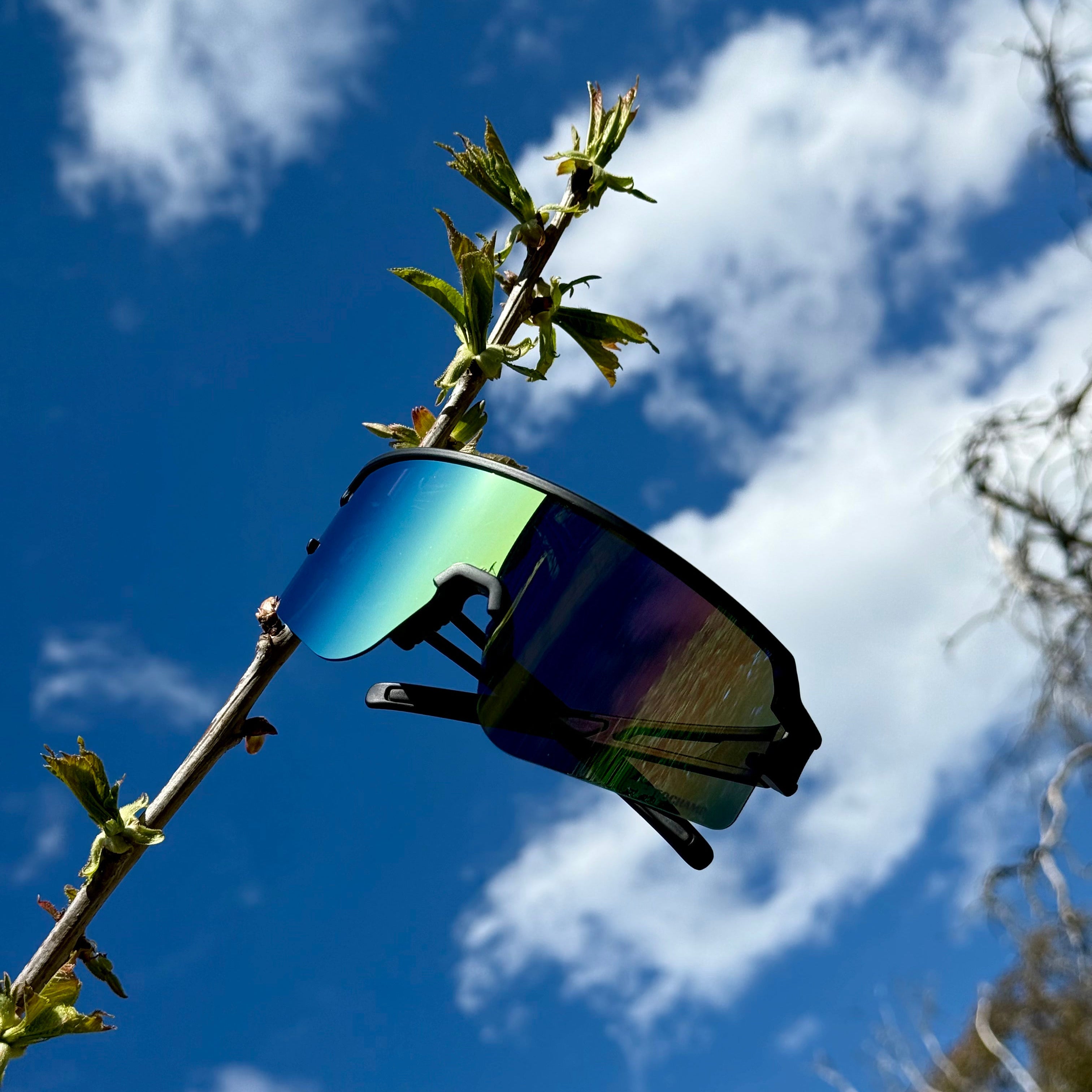 RoadRunner 2.0 - Black Frame & Polarised Max Gold Lens